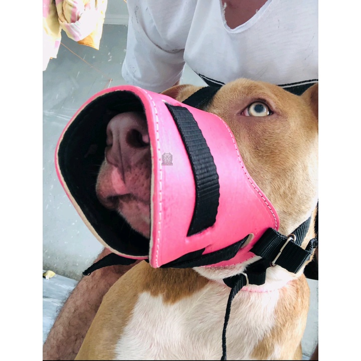 Focinheira Para Cães De Grande Porte Pitbull Rottweiler Cane Corso em Oferta na Shopee