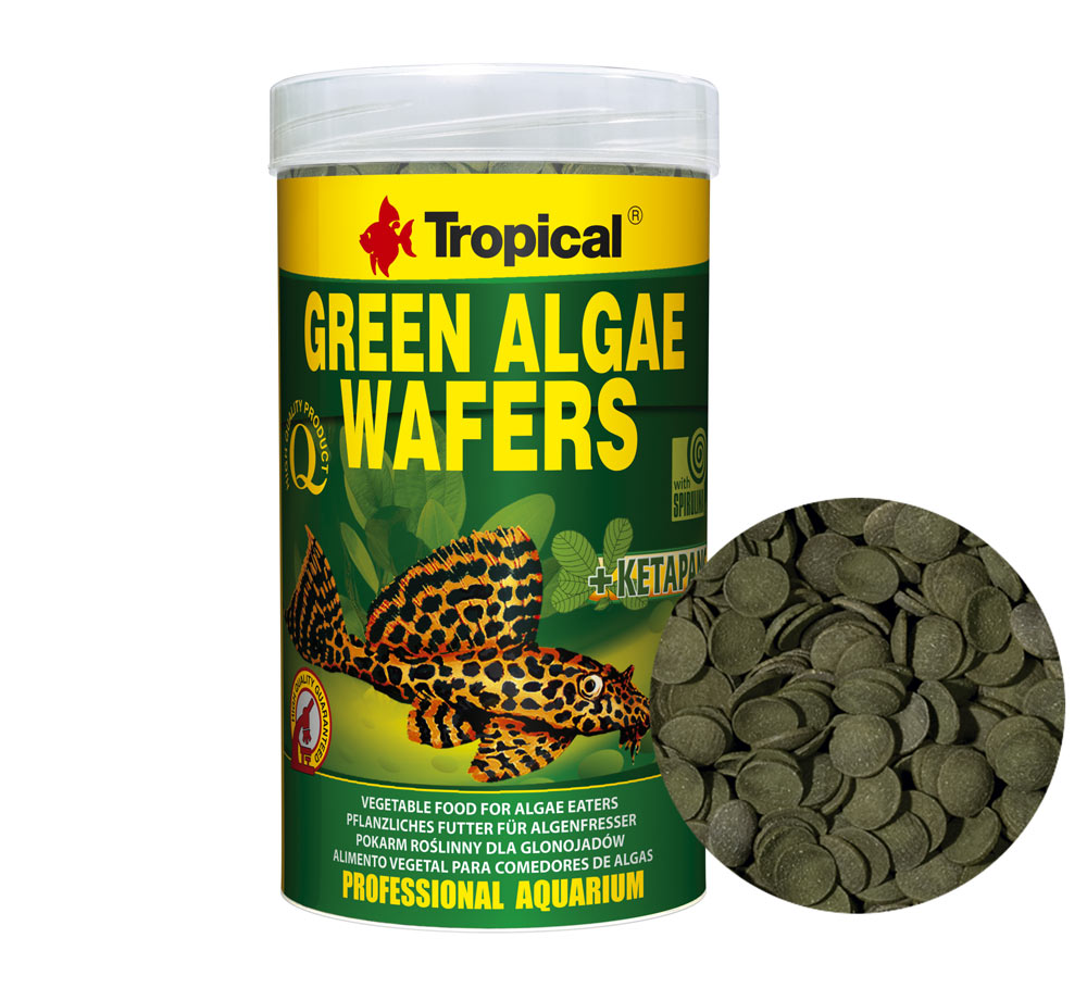 Ração Tropical Green Algae Wafers 113g Para Peixes De Fundo