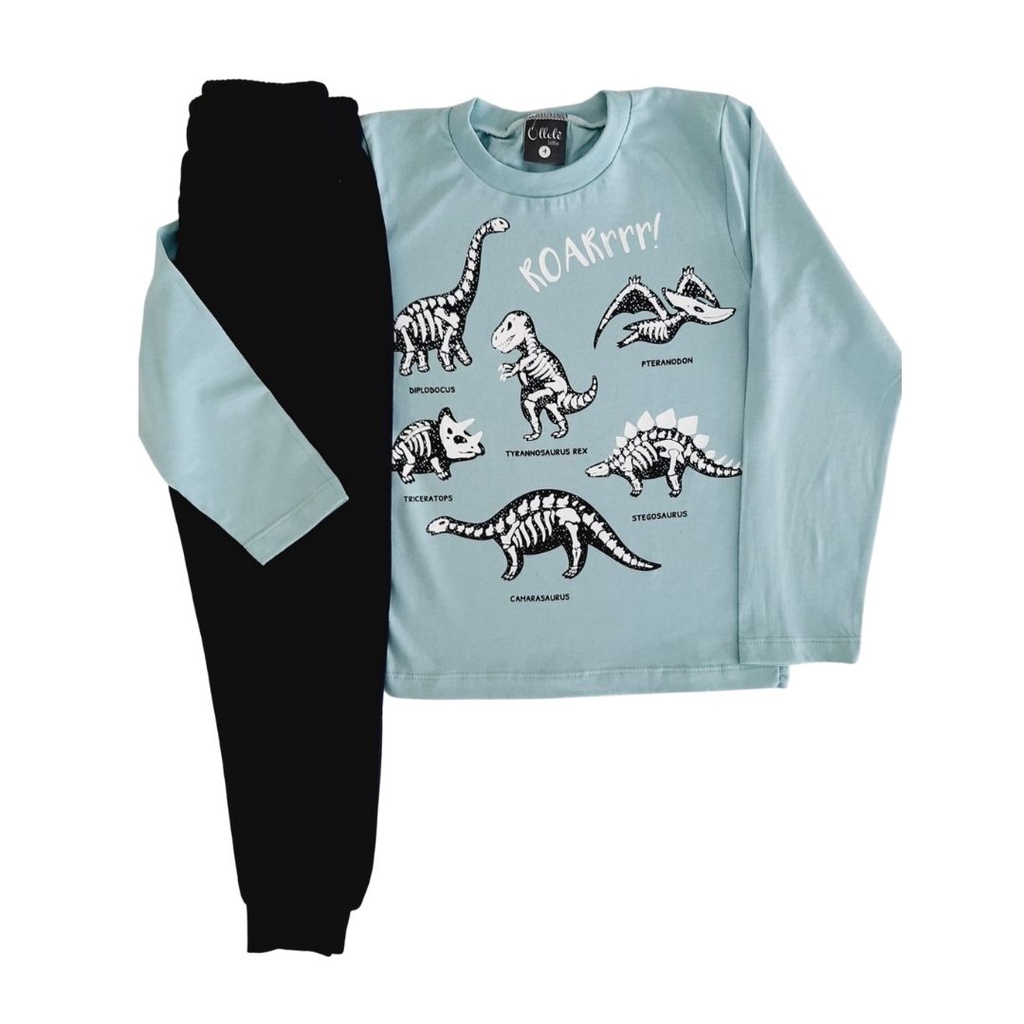Conjunto Infantil Masculino Blusa malha estampada e calça moletom 4-6-8