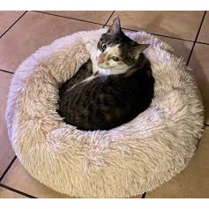 Caminha Pet Redonda Nuvem De Pelúcia Cachorros E Gatos 55 cm