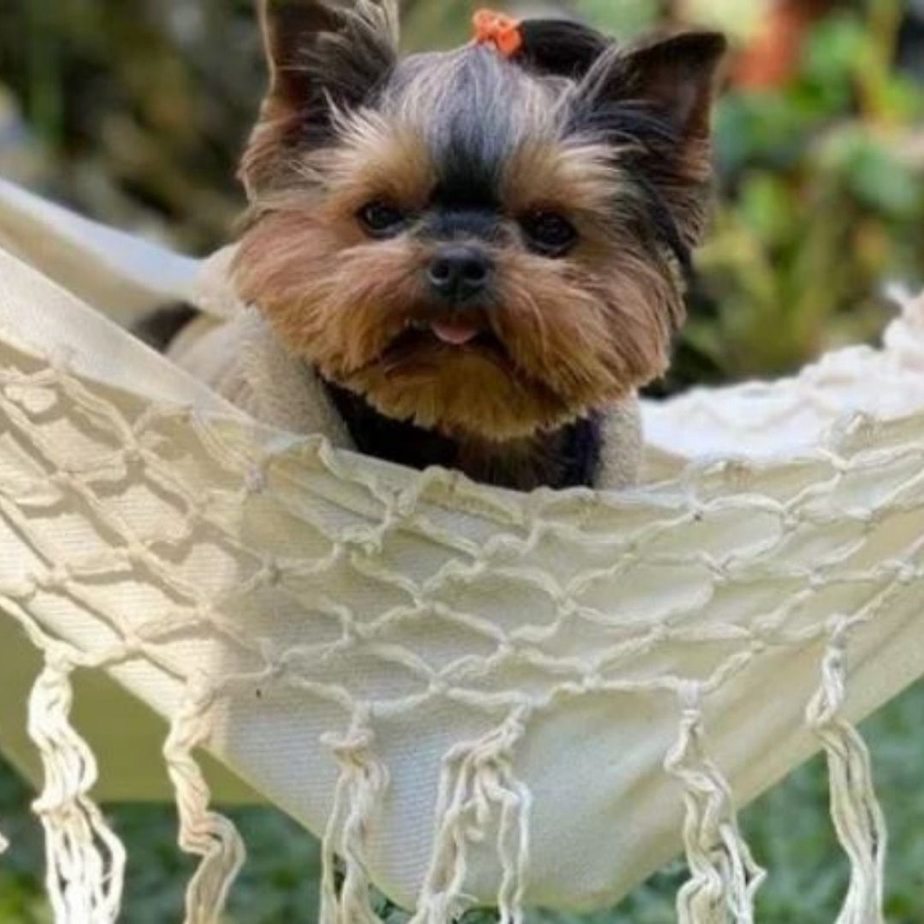 Rede Redezinha Para Cachorro Gato Pet de Estimaçao Algodao Artesanal Cama Caminha para Dormir Ideia Presente Mae