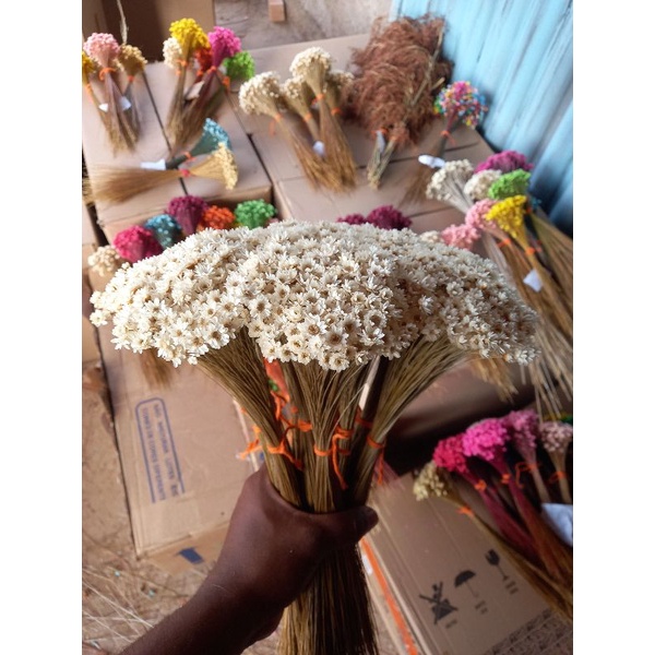 Flor sempre viva , kit com 1.200 flores secas , Flores sempre vivas  selecionadas | Shopee Brasil