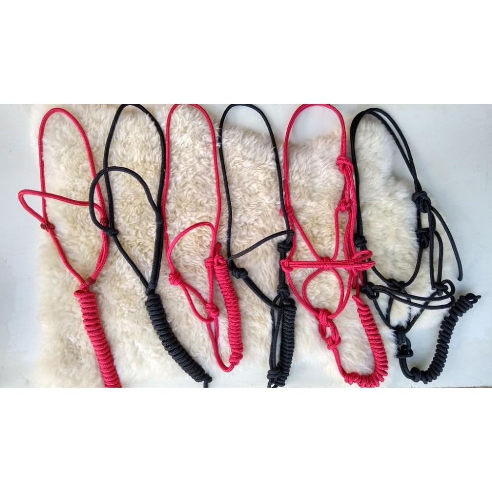 Cabrestos Preto Vermelho Em Corda Poli Comum 4 E 7 Nós Para Equinos e Muares Cavalgada Atacado Oferta