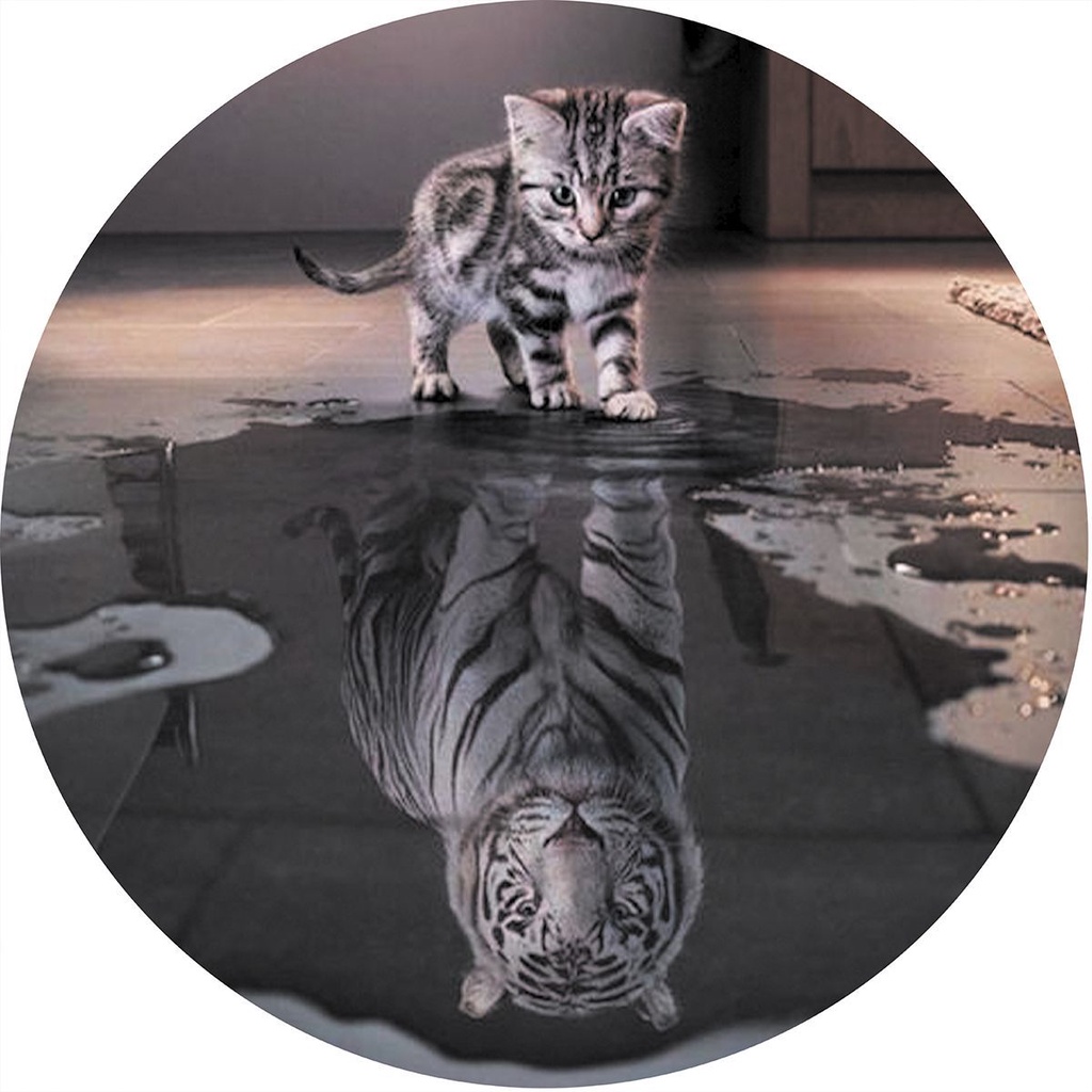 Capa de Estepe para Ecosport Crossfox Gato Tigre CN1248 Lorben