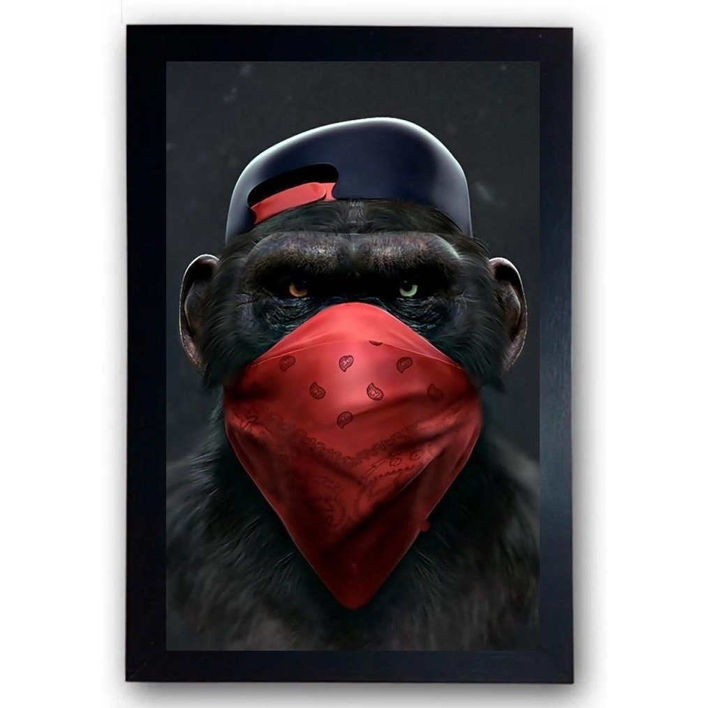 Quadro Macaco Moldurado Com Vidro Cod.5