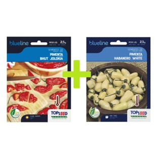 habanero White branca + bhut jolokia red vermelha sementes em Oferta na Shopee