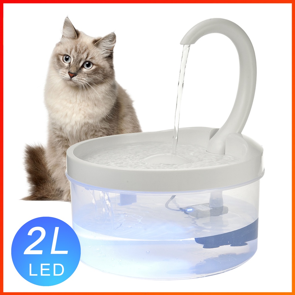 Gato com luz led