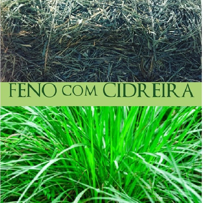 Feno fibra alimentar com Cidreira- 500g NUTRIPANSPETS