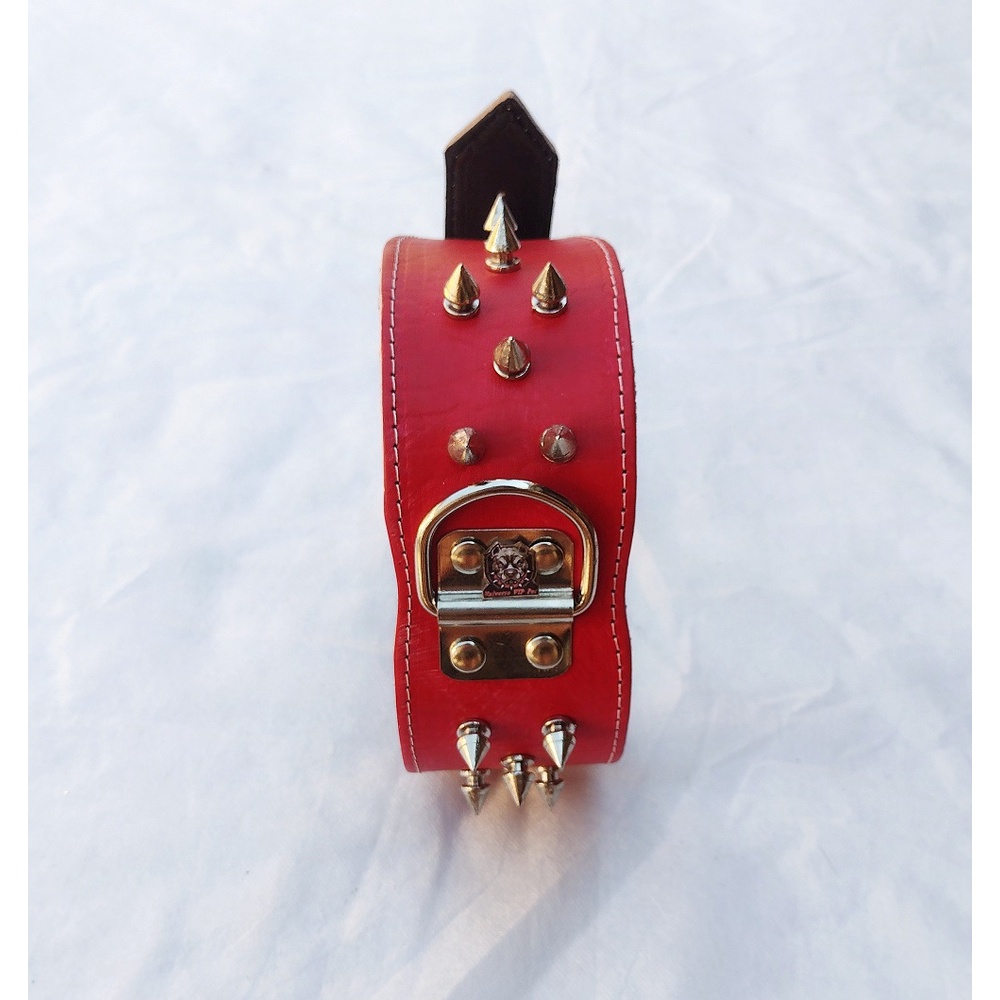 O que é Bulldog Alemão Grande? Guia e Onde Comprar | BuscaProdutos