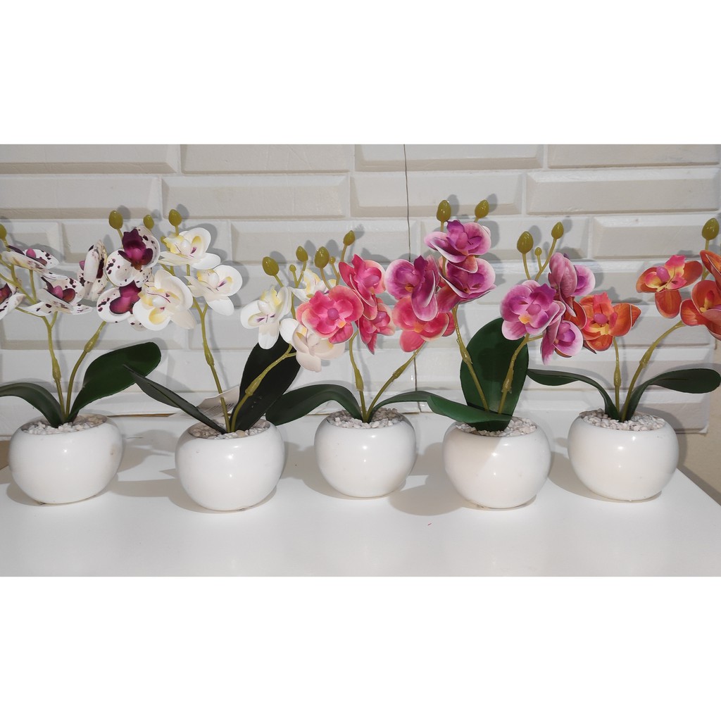 kit com dois (mini )vaso com orquídea artificiais altura 15cm!!! | Shopee  Brasil