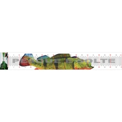 Régua em Lona Para Medir Peixe ,Pesca, Pesca esportiva, Tucunaré, Tilápia, trena, fita métrica