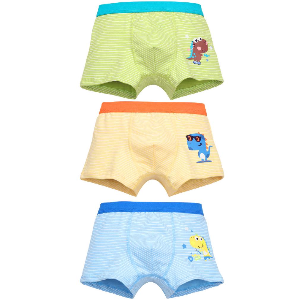 Boys Underwear Briefs 3-10 Years 6 Pack Boys Boxer Trunk Boxers Underwear Flyish Boys Boxer Shorts