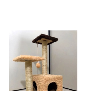 Arranhador Toca Para Gato Cores Diversas em Oferta na Shopee