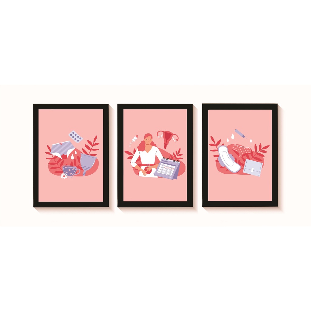 Kit 3 Quadros Decorativos Ciclo Menstrual Saúde Feminina Ginecologia Medicina Molduras 20x30cm