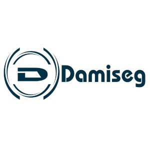 DAMISEG