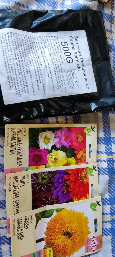 Sementes de Zinia Dobrada Dahlialora Flor de Dália Sortida - 1 envelope com  35 unidades | Shopee Brasil