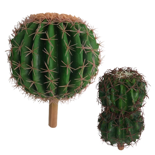 Cacto Cactus Redondo Flores e Plantas Artificiais - TY9058/14227 | Shopee  Brasil