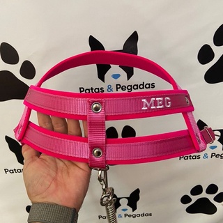 coleira para cachorro com nome