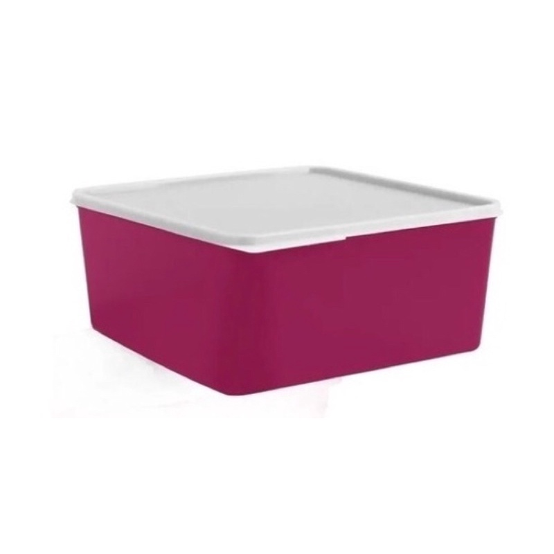 Refri line Tupperware | Shopee Brasil