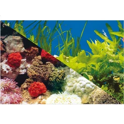 Enfeite Painel Imagem Para Aquario Doce Marinho 40x40cm N°2
