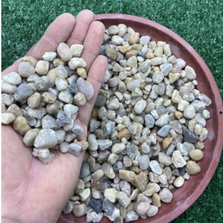 Pedras p/ Vasos 5KG - TAM. 0 -  Seixo De Rio Comum - Pedra de Rio - Seixo Rolado - Jardins Decoração Vasos Floreiras Canteiros - Lavado e Selecionado!