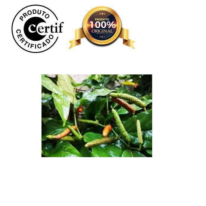 Óleo Vegetal de Jaborandi 500ml Prensado a frio com laudo