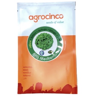 Semente Peletizada Alface Crespa BRS Mediterrânea  (1000 Sementes) - Envio Imediato com Nota Fiscal em Oferta na Shopee