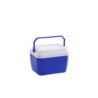 CAIXA TERMICA COM ALÇA COOLER VIAGEM PRAIA CERVEJA 6Lts em Oferta na Shopee