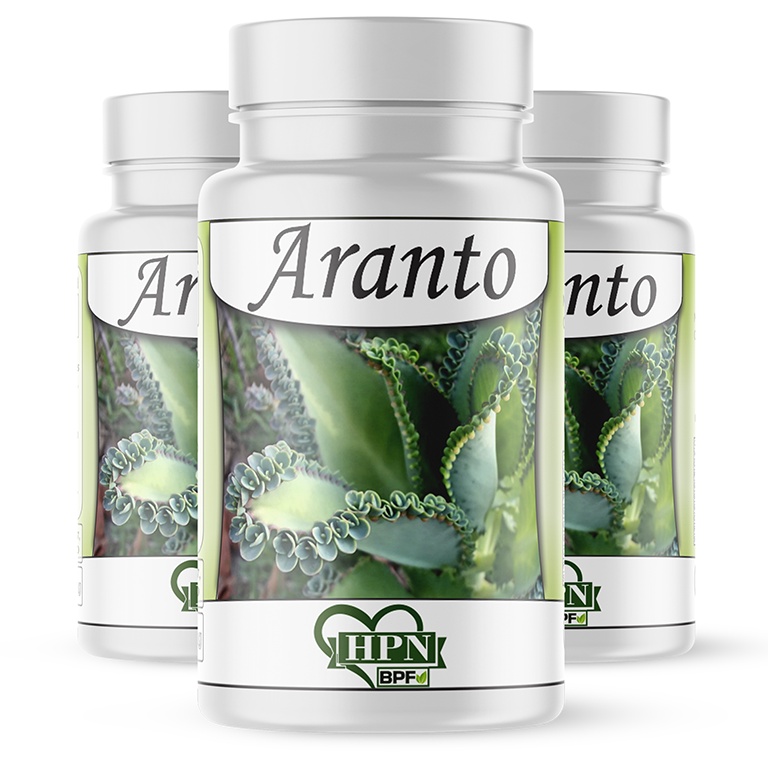 Aranto Kalanchoe daigremontiana 180 Cápsulas Planta Medicinal Rica em Benefícios Para Bem Estar