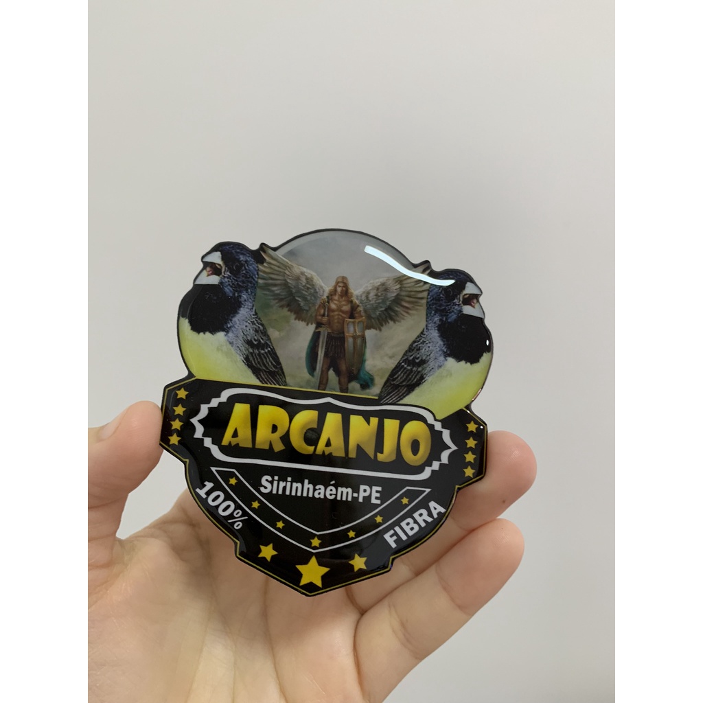Placa de gaiola para pássaro personalizada resinada; placa para coleiro baiano, placa de trinca ferro, placa de azulão, placa de curió, placa de tiziu, placa para galo de campina, placa para bigodinho, placa para sibite, placa para todas espécies