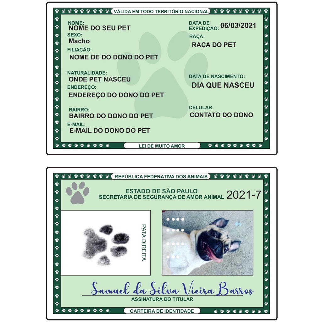 Rg Pet Identidade + Chaveiro Pet RG Pet Com Os Dados Pet E Dono - Impresso