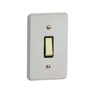 Interruptor Simples Vertical 10A 250V 4X2 Cinza Silentoque
