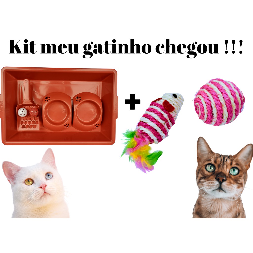 KIT meu gatinho chegou – Banheiro Higiênico Para Gatos Caixa De Areia + Comedouro + Presente / Banheiro Para Gato Caixa De Areia + Comedouro + Presente - Gatos, gatos, filhote, filhotes, PET, kit higienico, kits + Ratinho A Corda Para Gatos - Brinquedo
