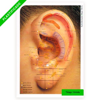 Mapa Auriculoterapia Chinesa Auricular A4 Plastificado Color em Oferta na Shopee