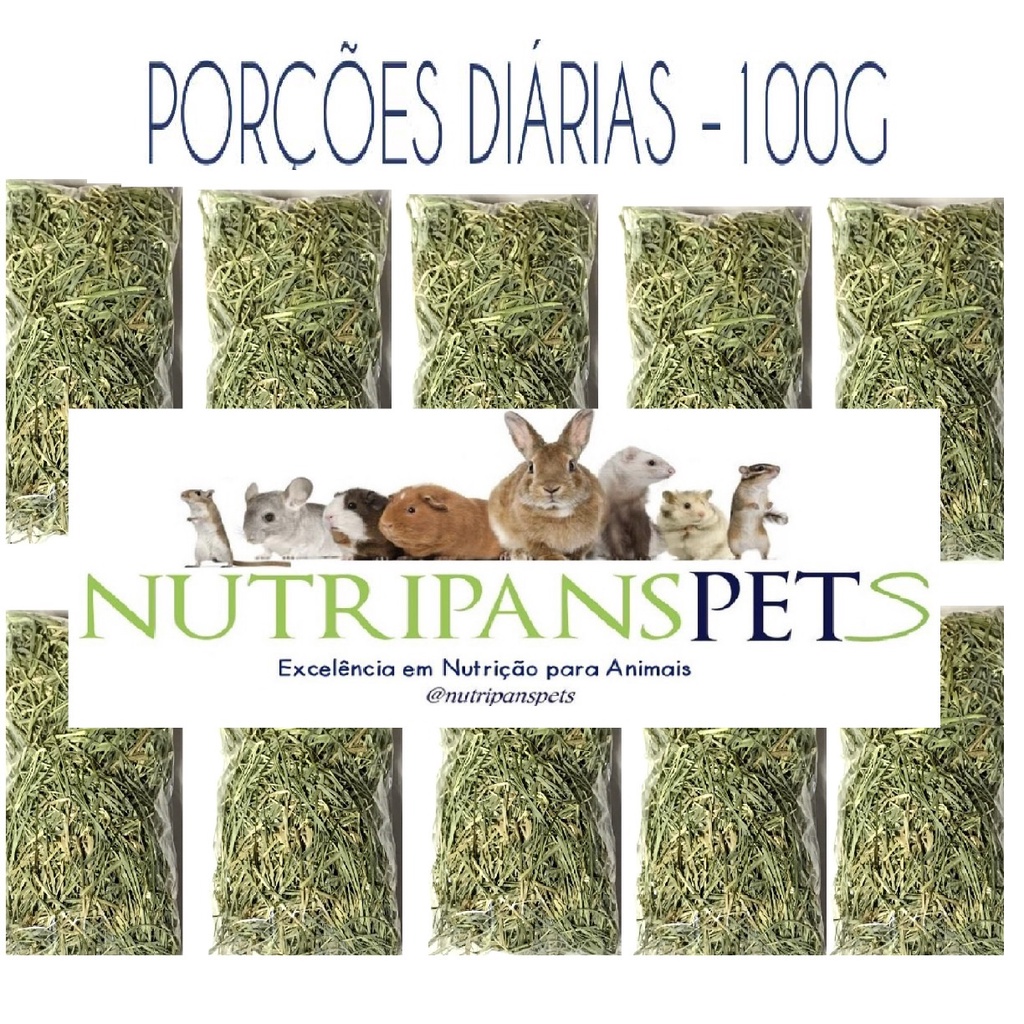 Porção diaria 10 unidades de 100gr de feno premium coast cross in natura