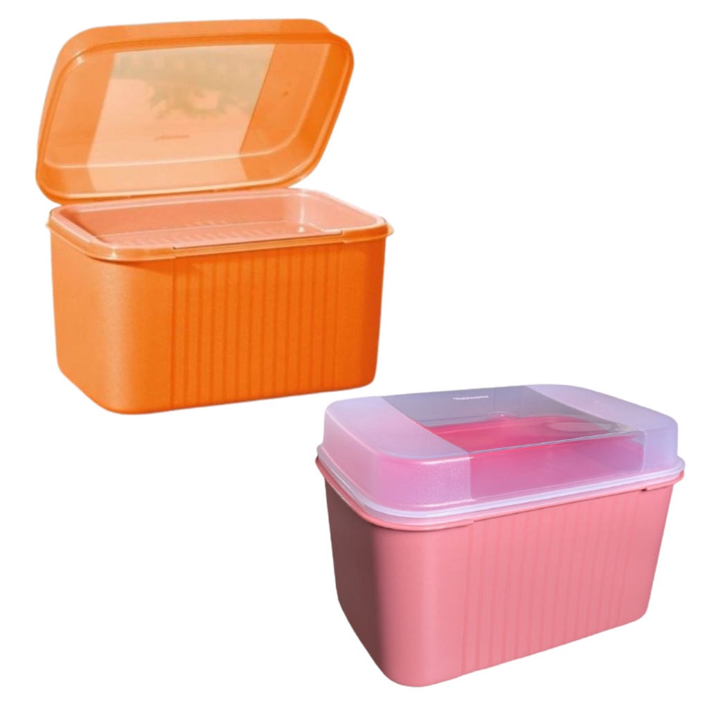 Tupperware Visual Box com Bandeja 4,5 litros | Shopee Brasil