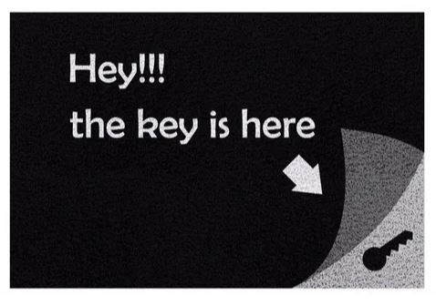 Tapete Capacho Hey The Key is Here 60x40 cm