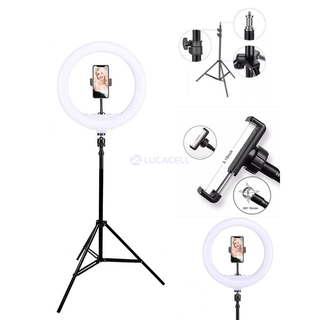 RING LIGHT ILUMINADOR LED 30CM 12 POLEGADAS COM TRIPE PARA SELFI CELUALR