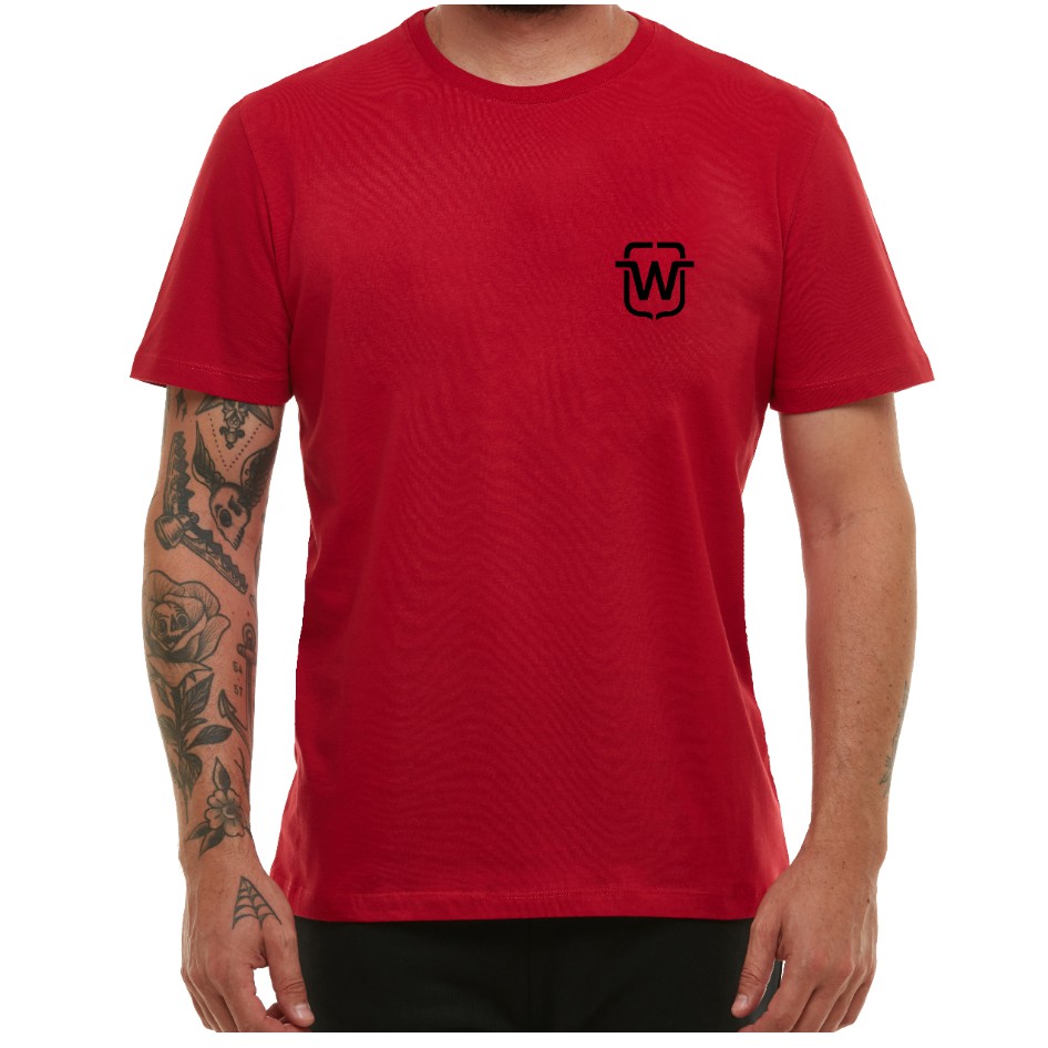 Kit 10 Camisetas Camisa Gola Redonda Básico Wooks (C10)