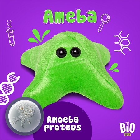 Pelúcia Protozoário Amoeba proteus Bio Store Presente biologia biomedicina