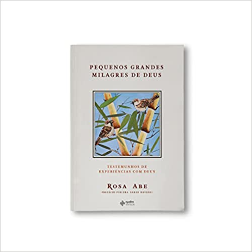 Pequenos Grandes Milagres de Deus | Rosa Abe