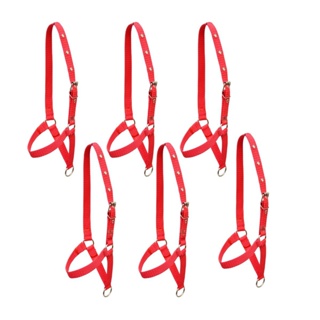 KIT 6 Cabresto de Bezerro Boi Vaca Gado Vermelho RESISTENTE ENVIO RÁPIDO em Oferta na Shopee