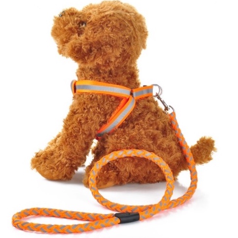 Coleira Peitoral Com Guia Corda Cão Cachorro Regulagem Porte Médio Pequeno Reflexivo em Oferta na Shopee