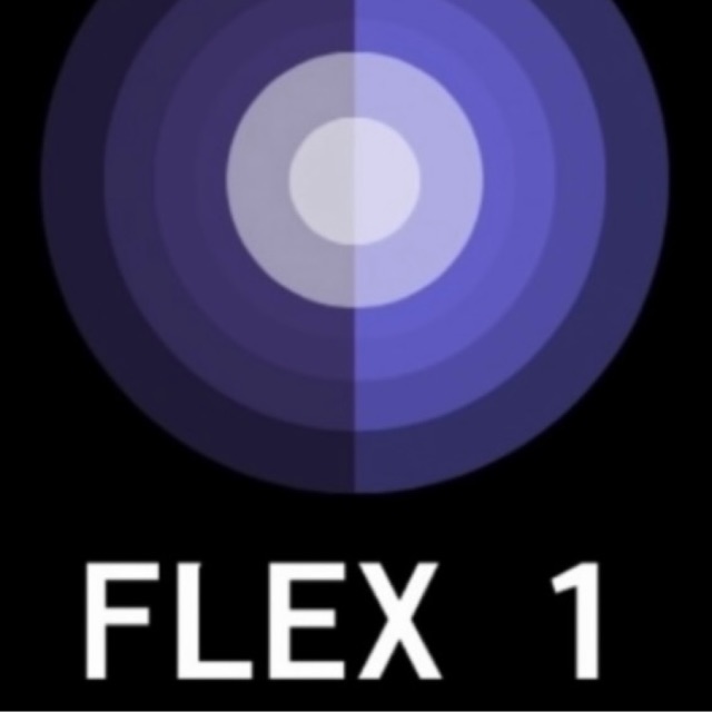 FLEX 1