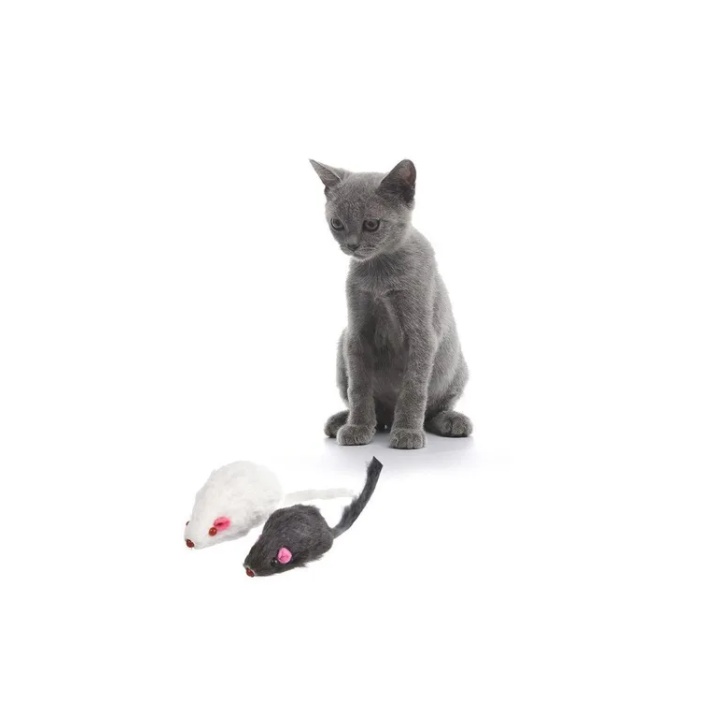 Brinquedo Ratinho Rato Real Mouse com Apito Gato Pet | Shopee Brasil