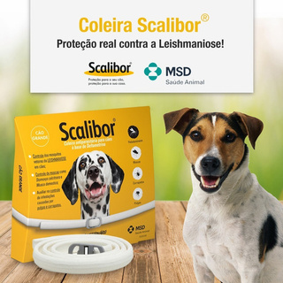 Coleira Scalibor Ant Pulgas (5) Unid Gr 65 em Oferta na Shopee