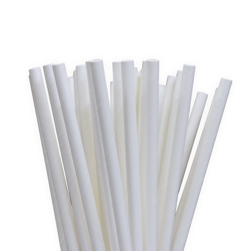 Canudos De Papel Branco - Biodegradável 1.000und