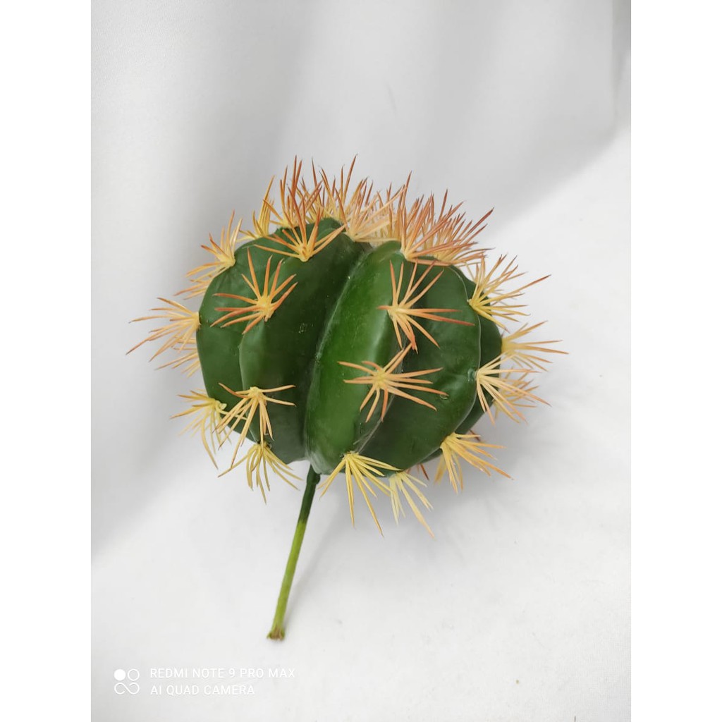 Suculenta Cacto Coroa 25cm (va262)