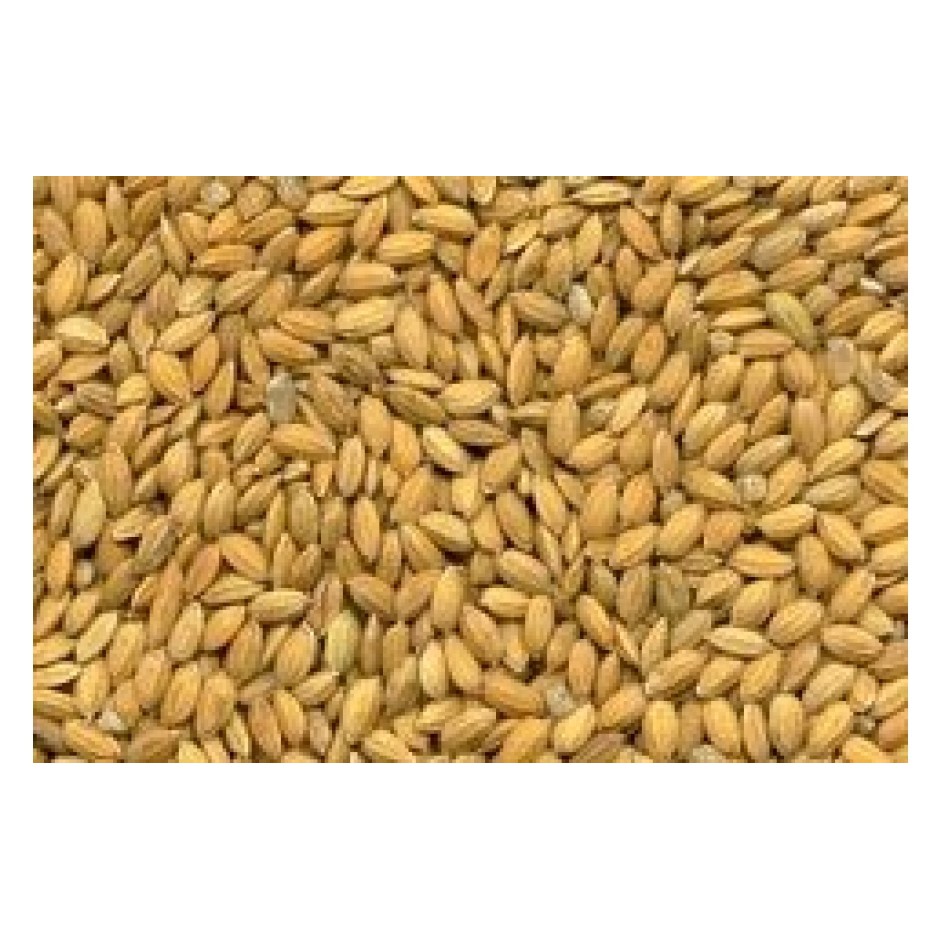 Arroz Cateto Em Casca - 10kg | Shopee Brasil