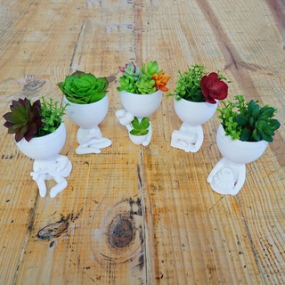 Vaso Suculenta Robert Plant Bob - Kit Com 5 Vasos Suculentas - KIT 4 - EXCLUSIVO DECORE DESIGN
